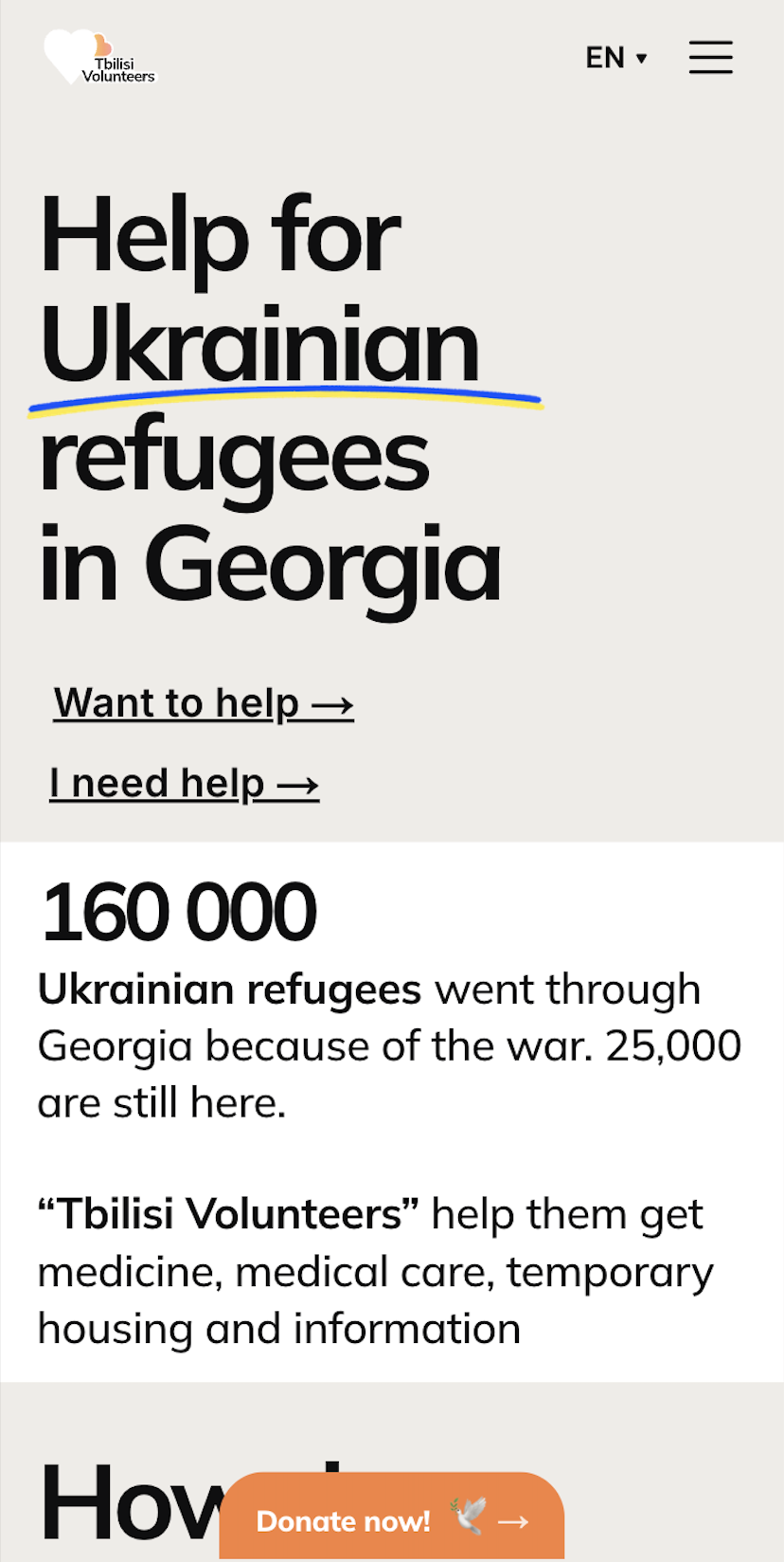 Tbilisi Volunteers website